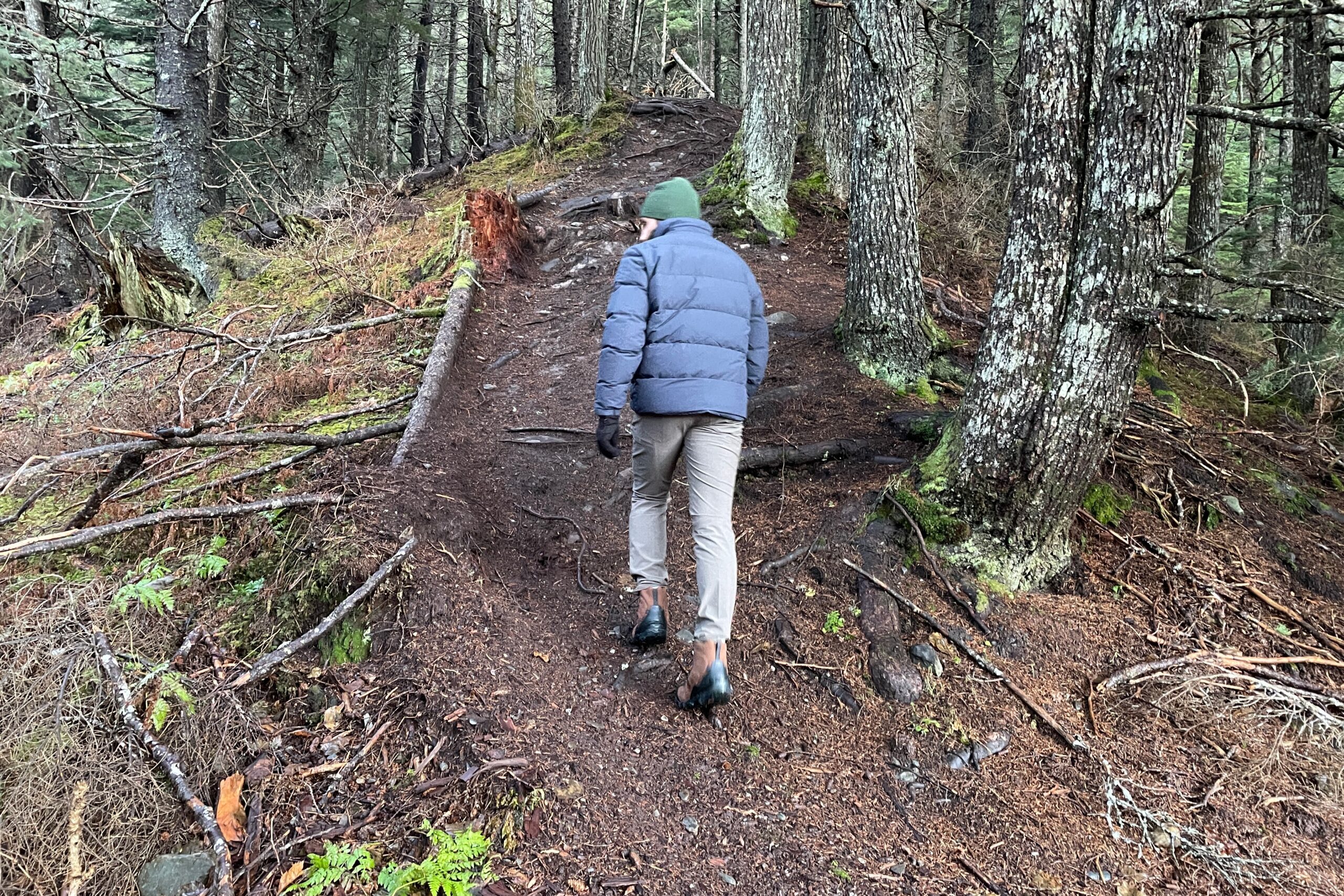 A man hikes uphill in the forest.