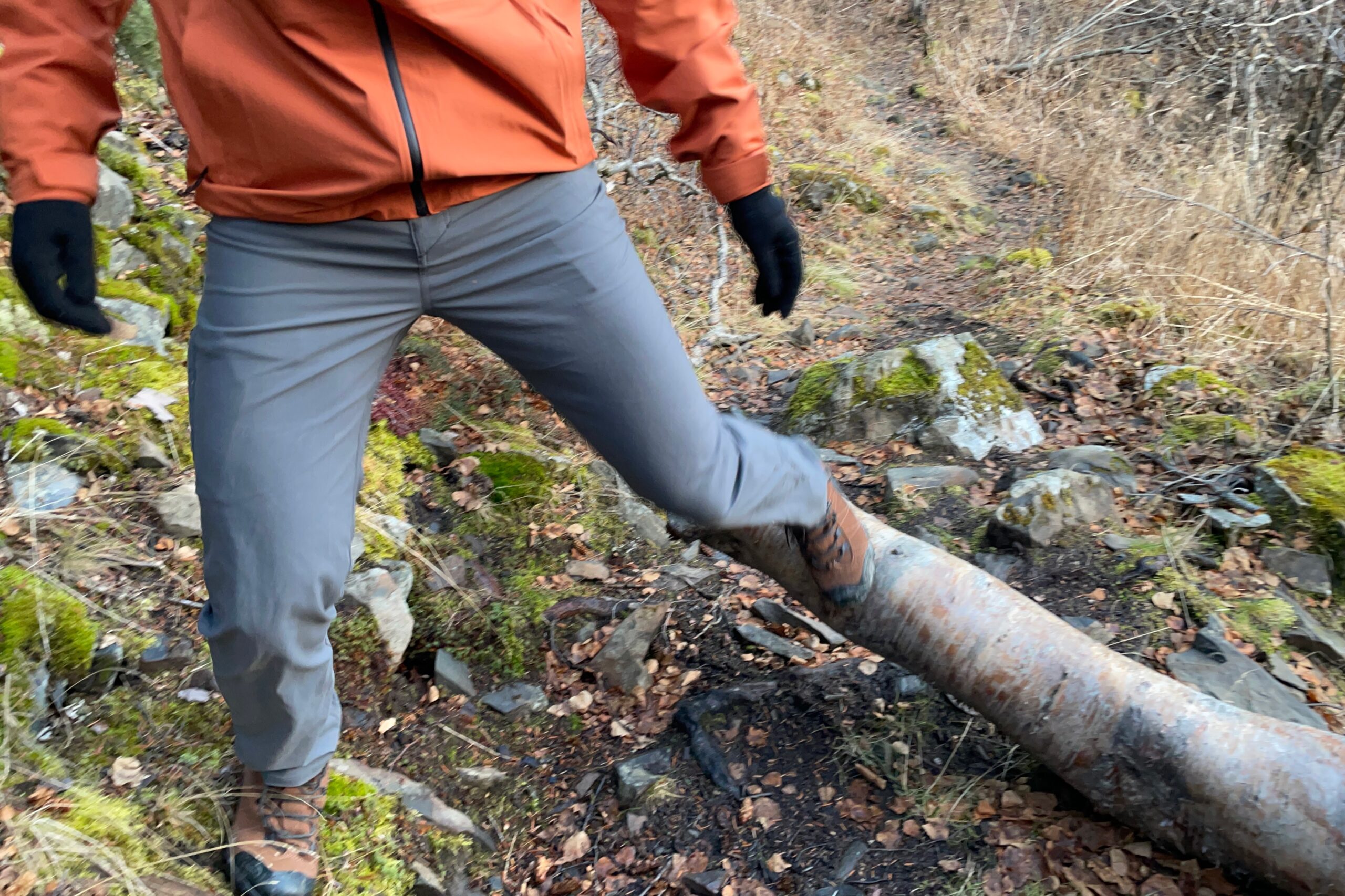 A closeup of a person stepping over a log on a trail.