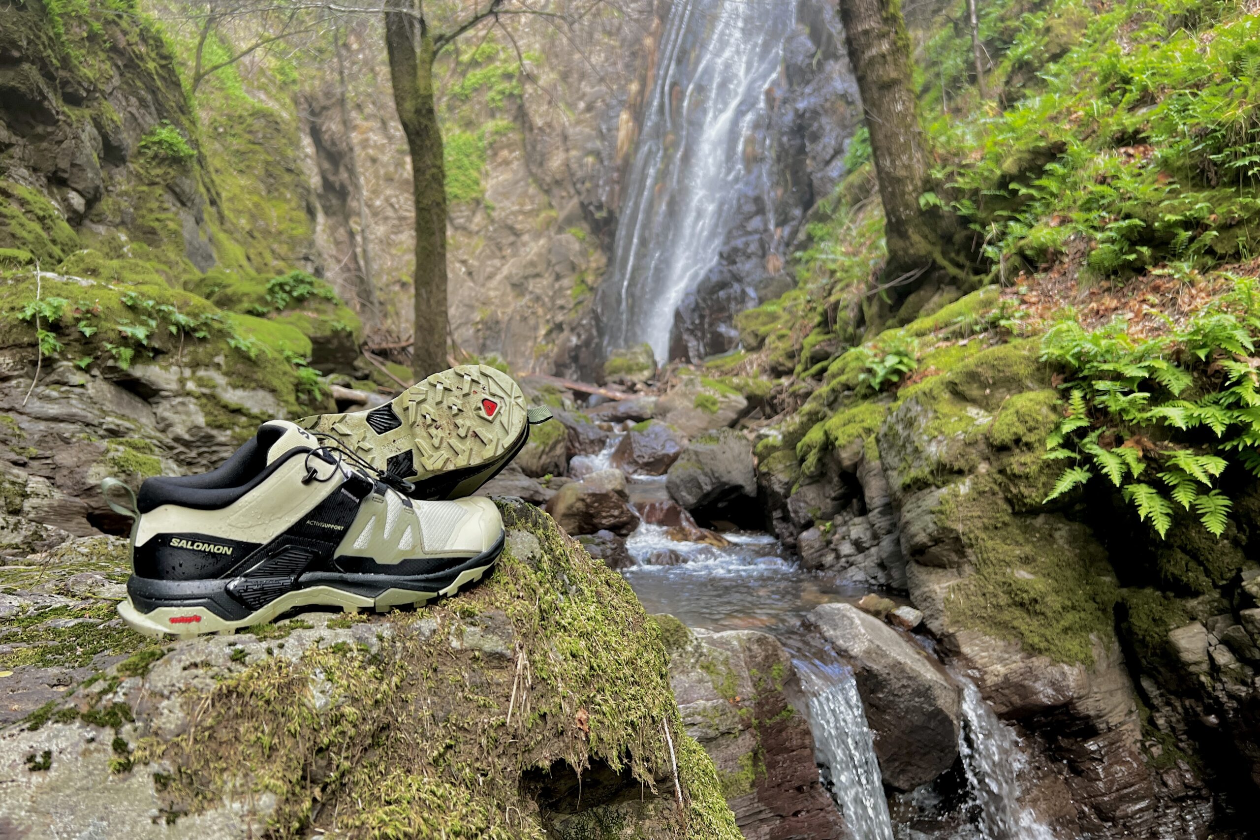 The Salomon X Ultra 4 Low shoes rest on a rock with lush ferns and a waterfall in the background.