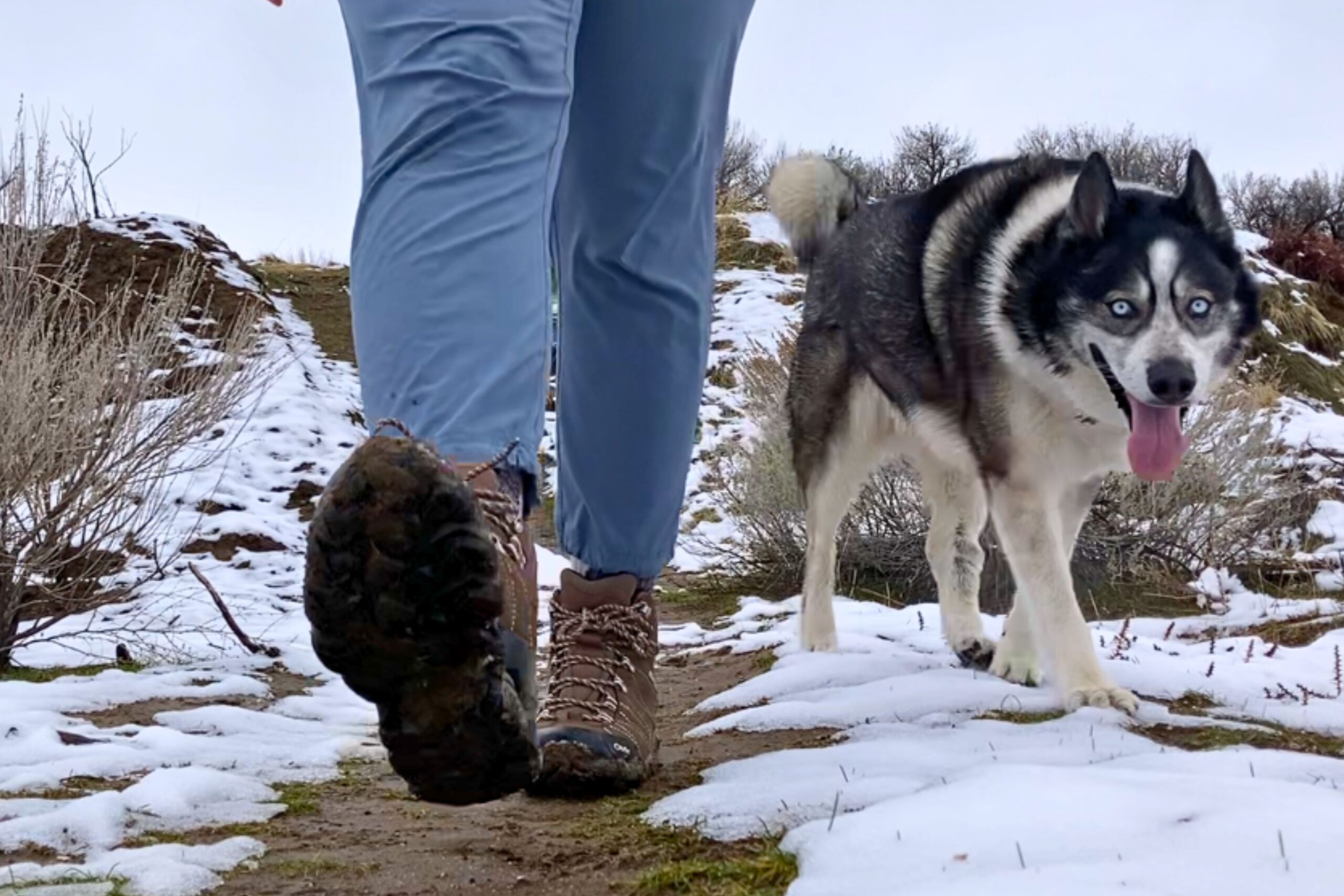 Hiking in the Women’s Oboz Bridger WP