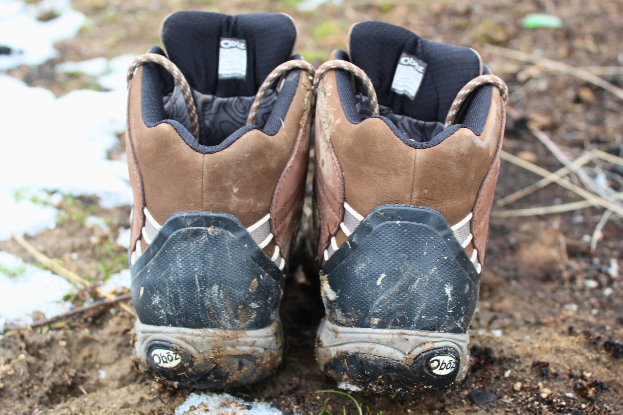 The back of a pair of Women’s Oboz Bridger WP hiking boots