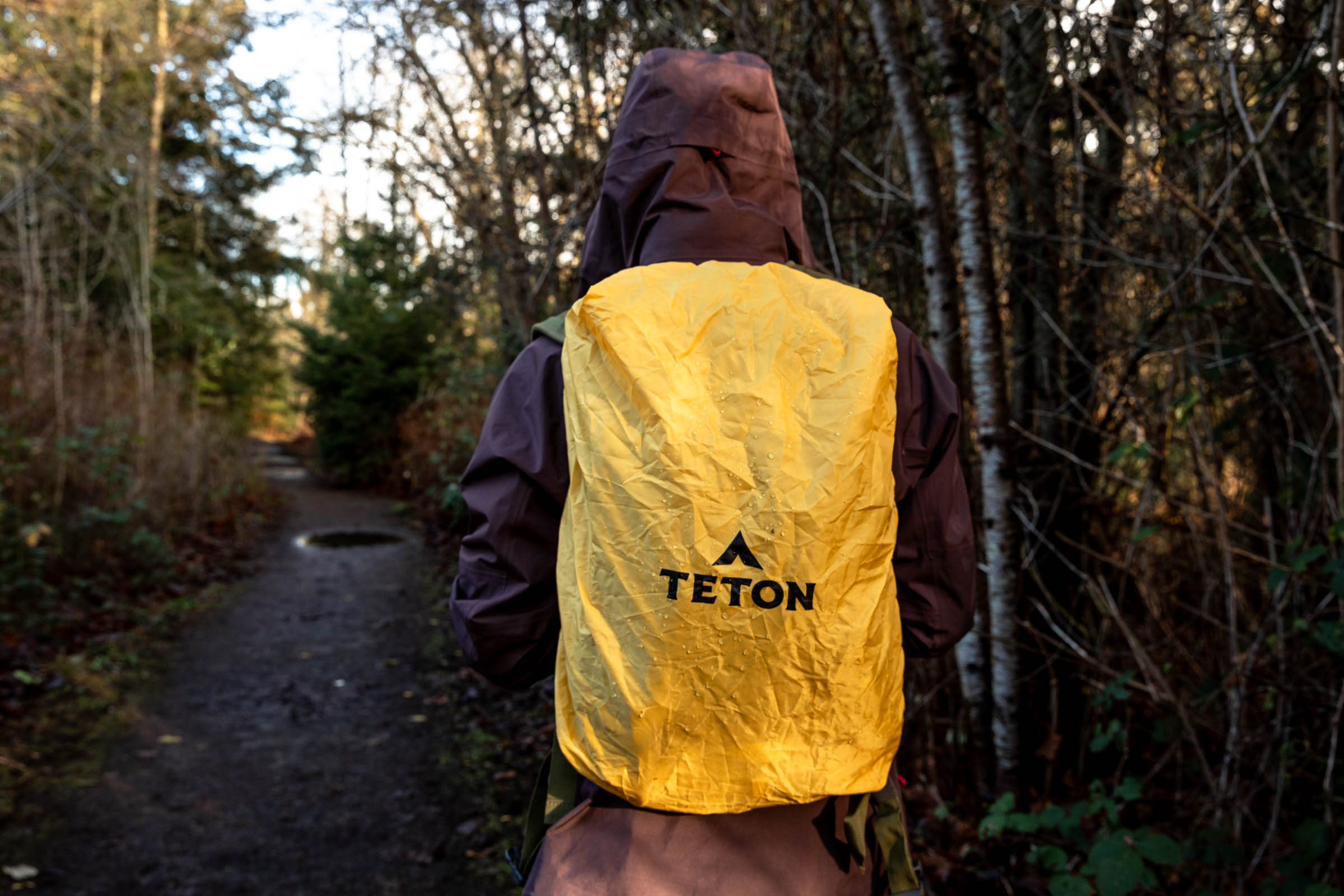 Details of TETON Sports Oasis 18L Hydration Pack - a person is wearing the pack with the pack cover