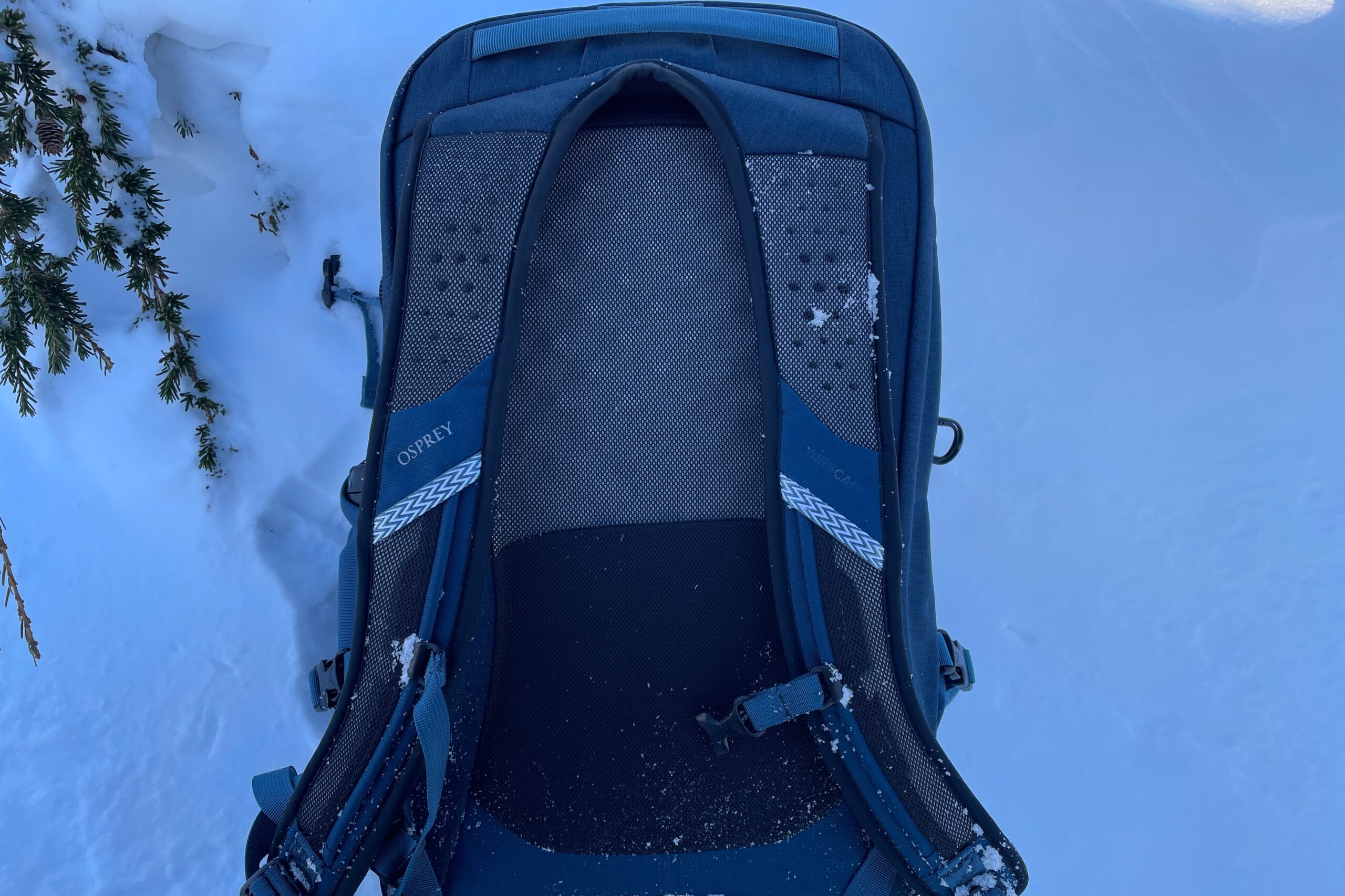 A closeup of the back panel of a backpack.