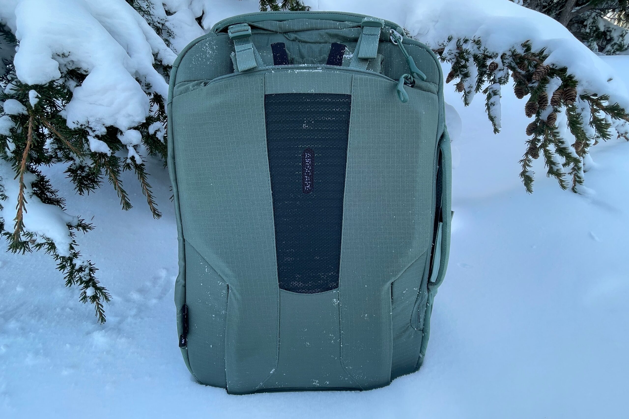 A close up of the back panel of a travel backpack.