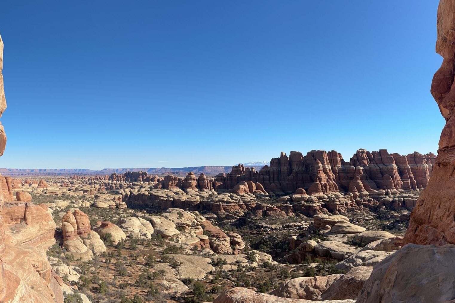 Cloudless blue sky with deep red rock canyons in Canyonlands National Park