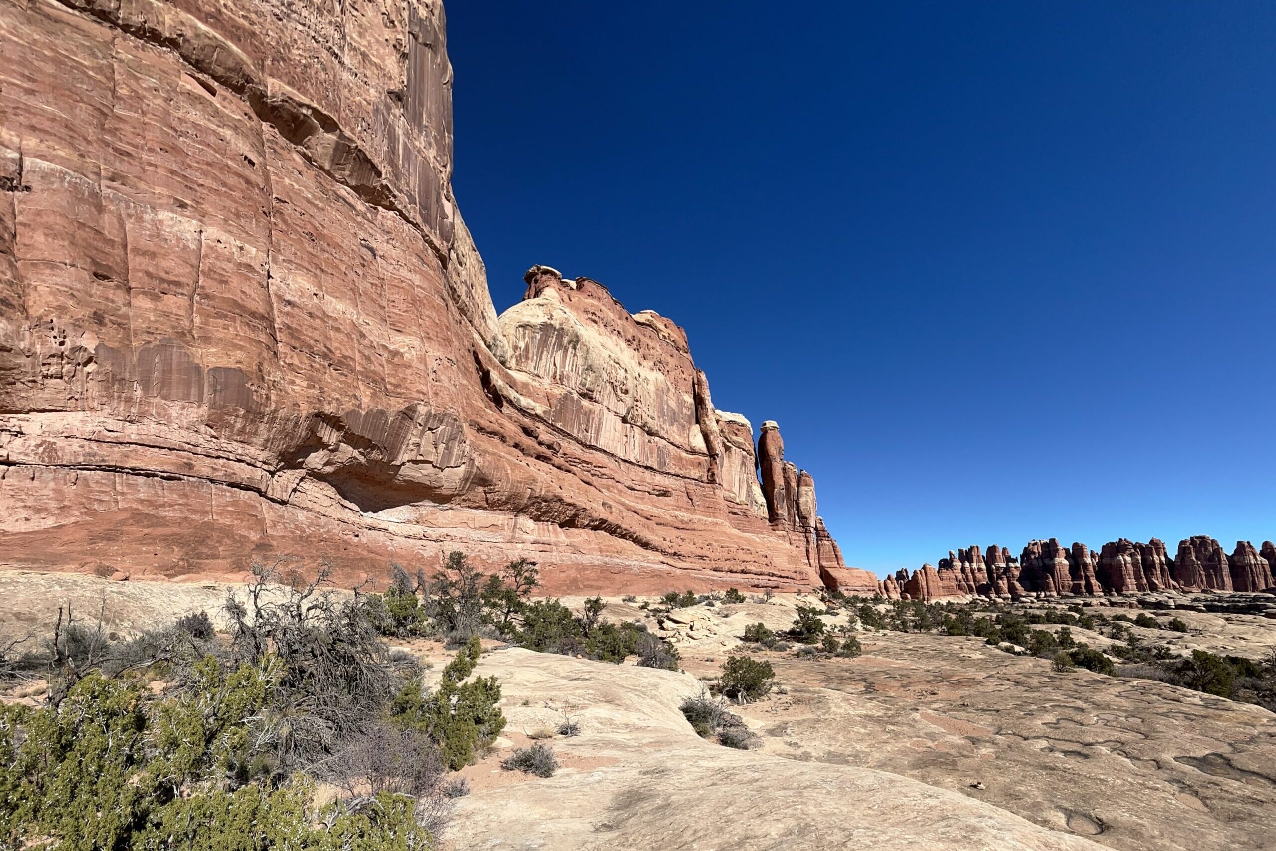 Cloudless blue sky with smooth red rock canyons in Canyonlands National Park